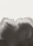 9283_2_Coordonne_Coral-Reefs_Onyx_A00120-79977