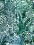 7415_1_Coordonne_Wandbild_Jungle_Dream_8000056N-68811