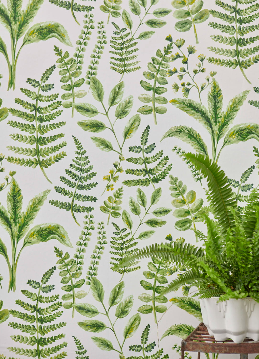 Tapete Bracken - Forest