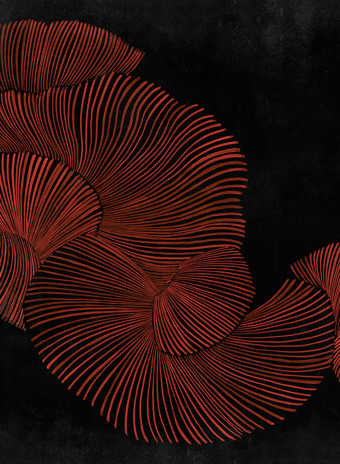 Wandbild Diving Moment - Red
