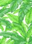 16297_03_Jannelli_&_Volpi_Banane_7227-148236