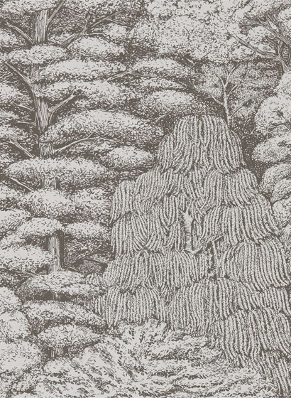 Tapete Woodland Toile - Ivory/ Charcoal