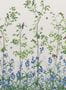 7701_4_Little-Greene_Bird-and-Bluebell_0263BICEVIC-100066
