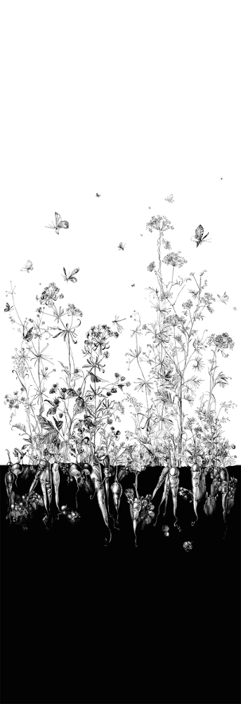 Tapete Lièvres/Fenouil/Tournesol - Blanc et Noi - Fenouil Sauvage Droit - Blanc et Noir