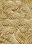 14970_01_Mindthegap_Triflora_WP30167-139884