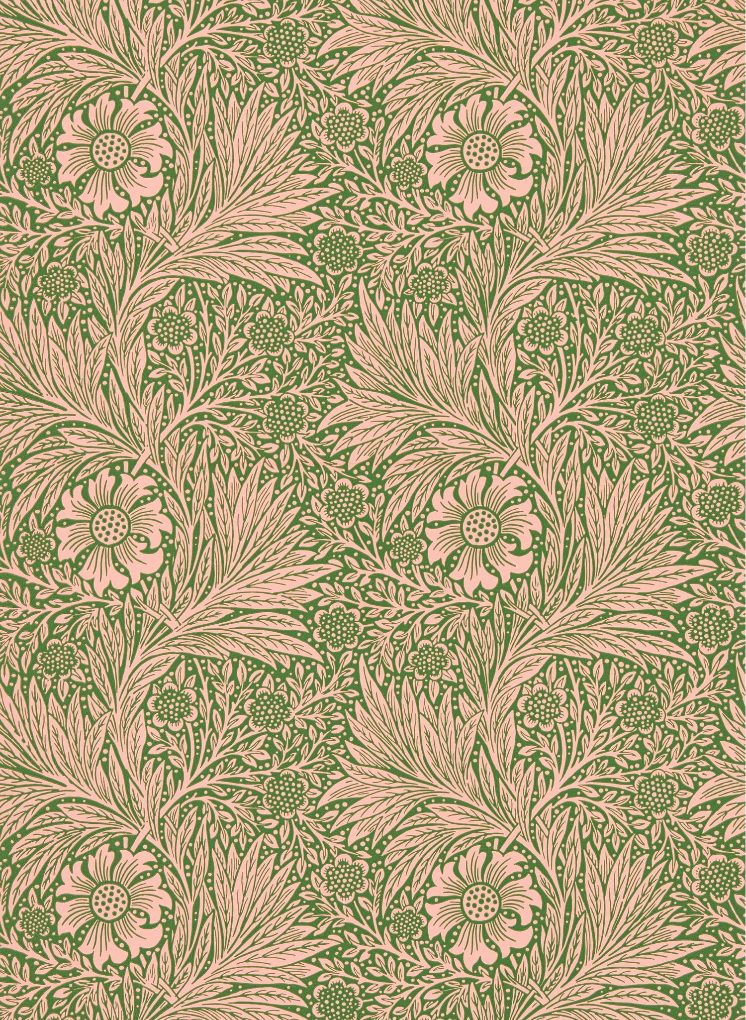 Tapete Marigold - Pink & Olive