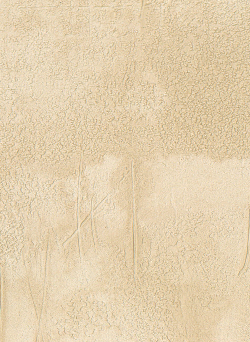 Tapete Agrigente - VP 960 14