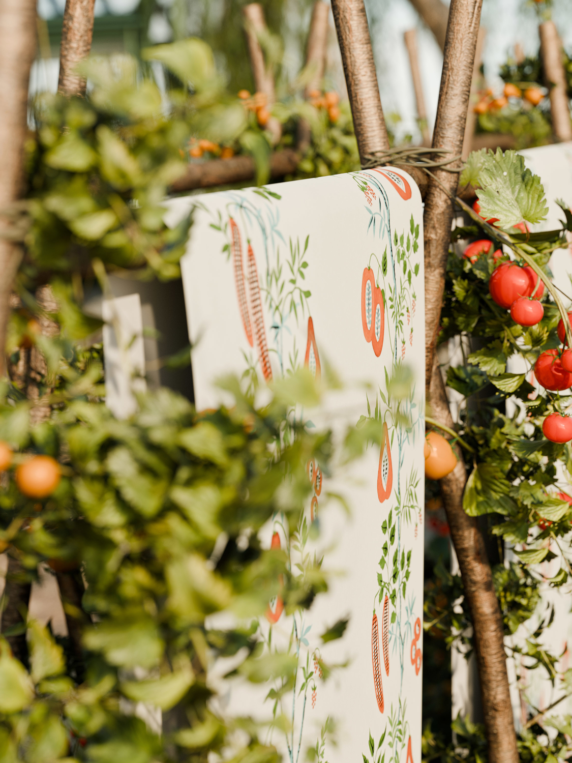 Tapete On The Vine - Tangerine/ Kelly Green