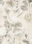 5175_2_sanderson_king-protea_216647-54558