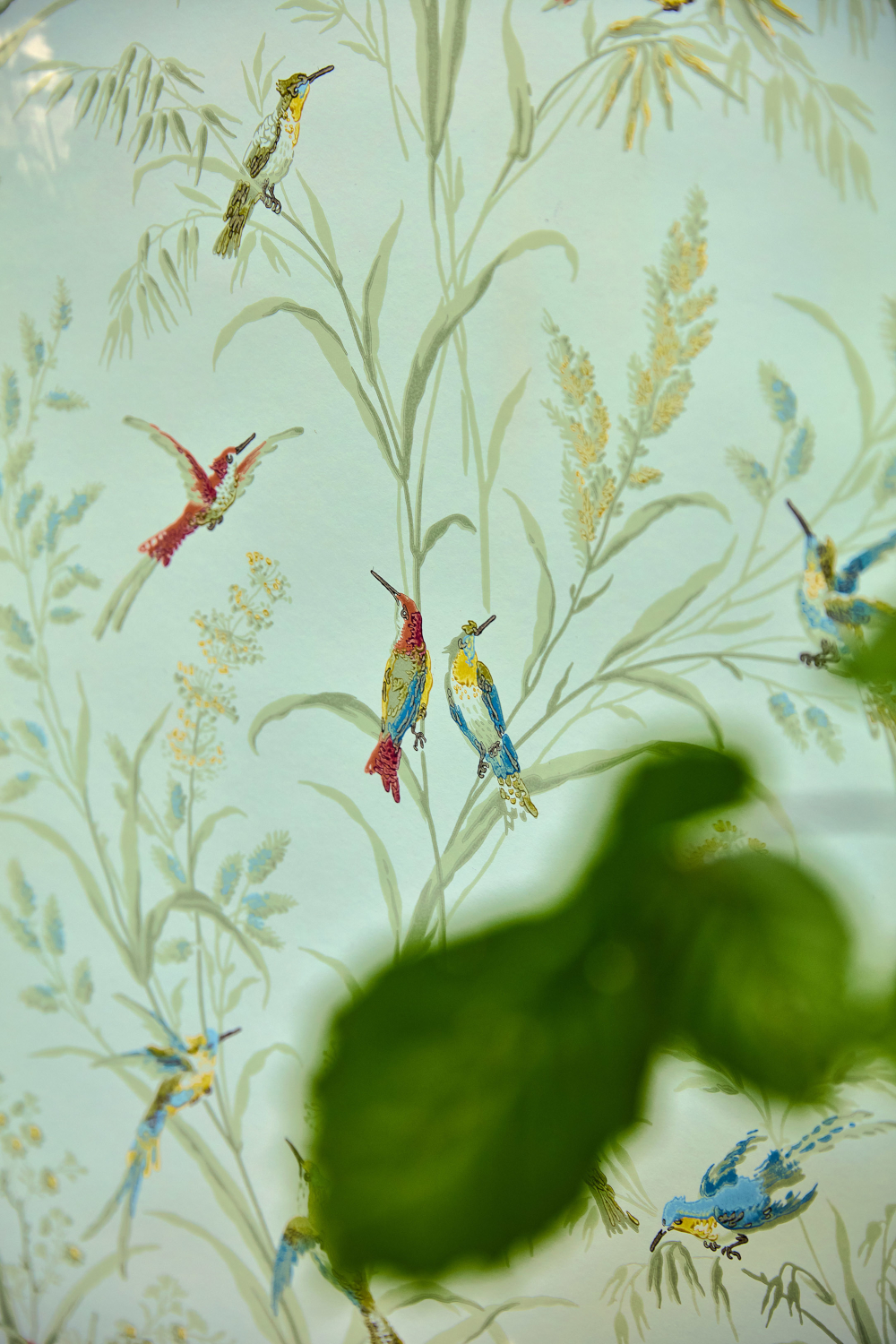 Tapete Tuileries - Sage/ Multi