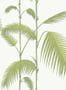 1428_9_cole_and_son_contemporary_restyled_palm_95-1009-22179