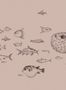 8513_1_Coordonne_Wandbild_Sea_Current_9500600-70030