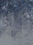 6606_2_Rebel-Walls_Honolulu_Cloud_R17842-78675