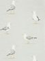 4038_4_sanderson_shore-birds_216565-31568
