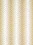14893_1_Thibaut_Viva_T12826-189397