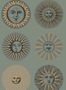 3948_3_Cole_and_Son_Soli_123_1003-109552