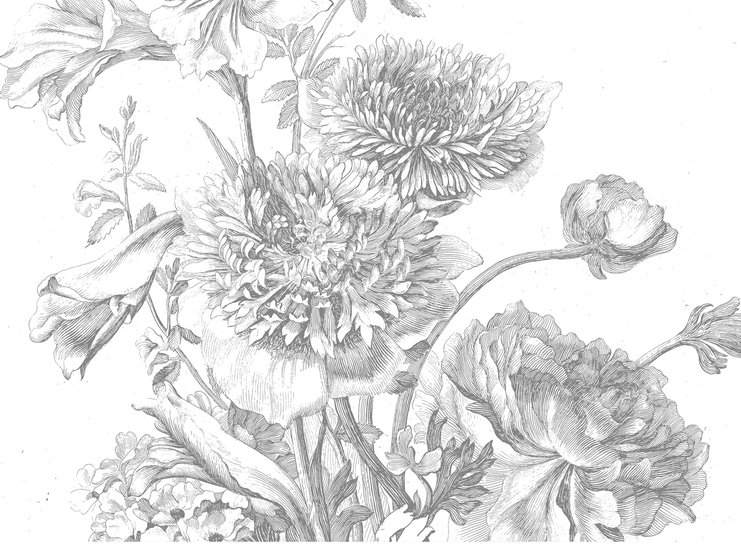 Wandbild Engraved Flowers 3 - Multicolor - 3.896m