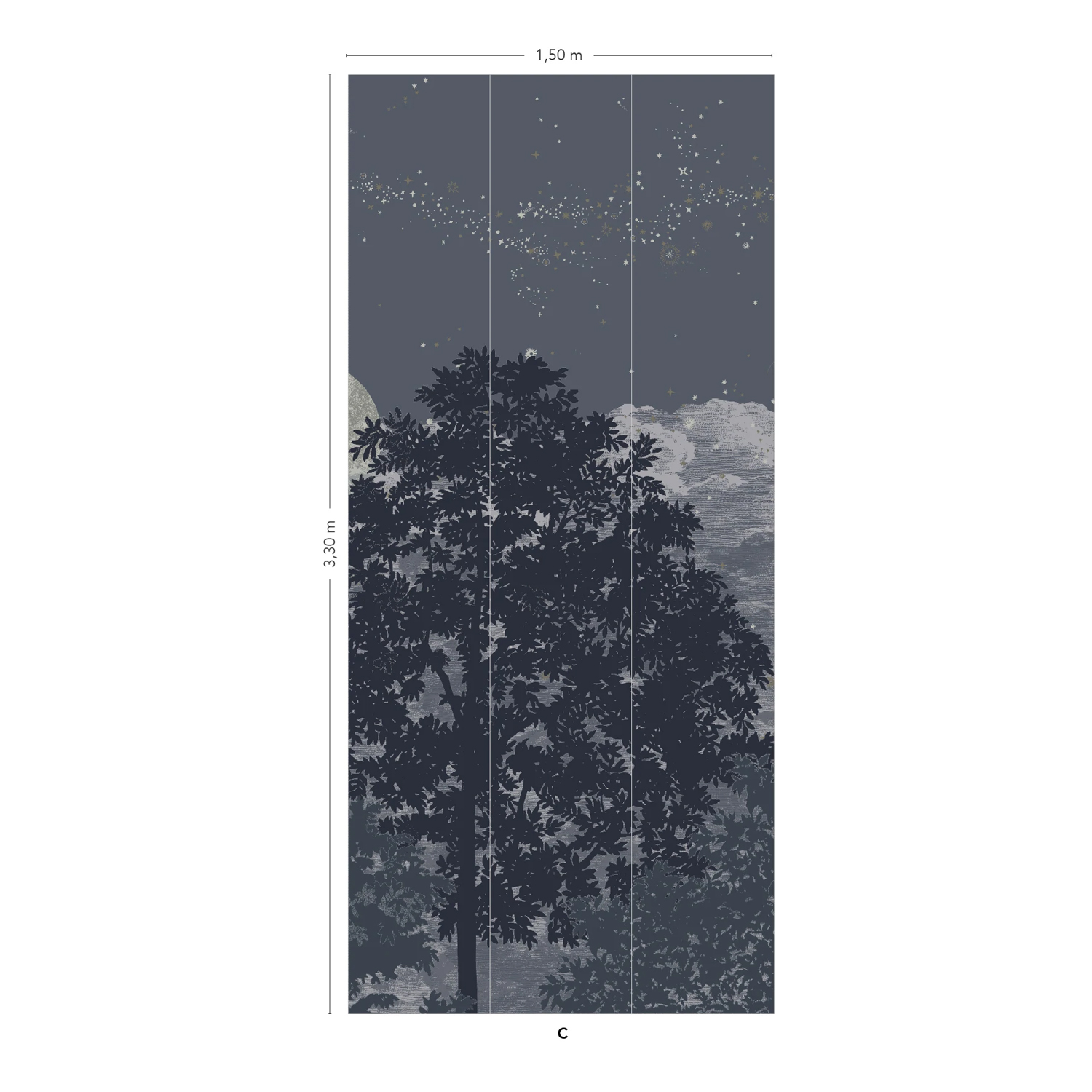 Wandbild Eclipse Clair Obscur - Panel C
