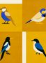 18109_03_Coordonné_Like_a_Bird_C00135-175205