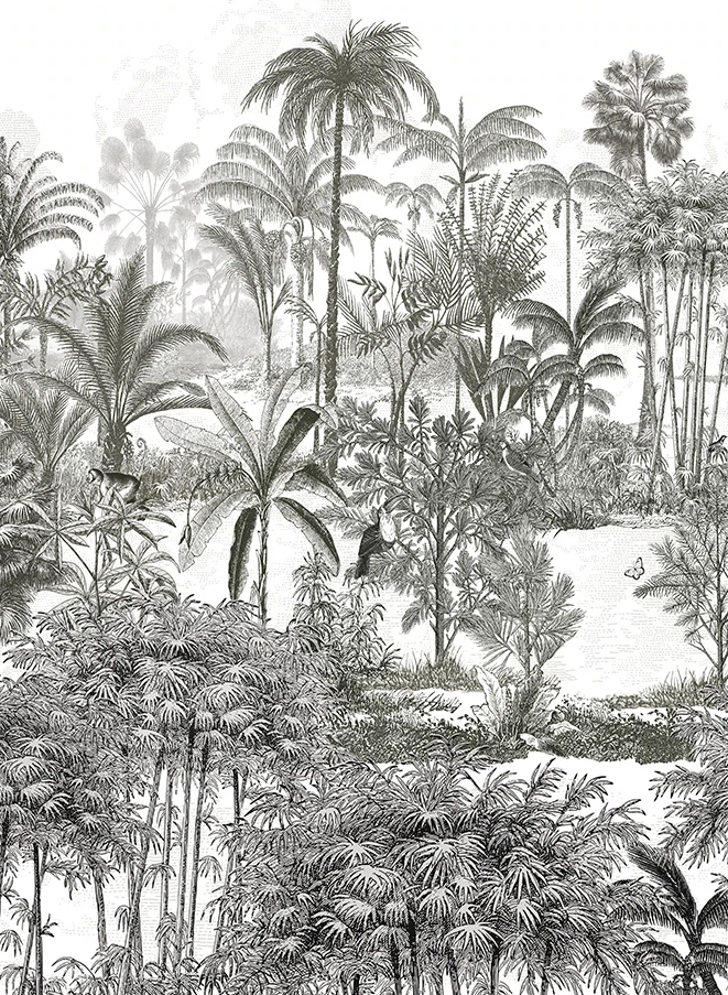 Carta da parati panoramica Amazon Panthere Gris