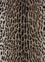2012_1_osborne_little_pasha_pantanal_w6759-03-23838