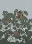 6925_1_Rebel_Walls_Playground_R18221-89274