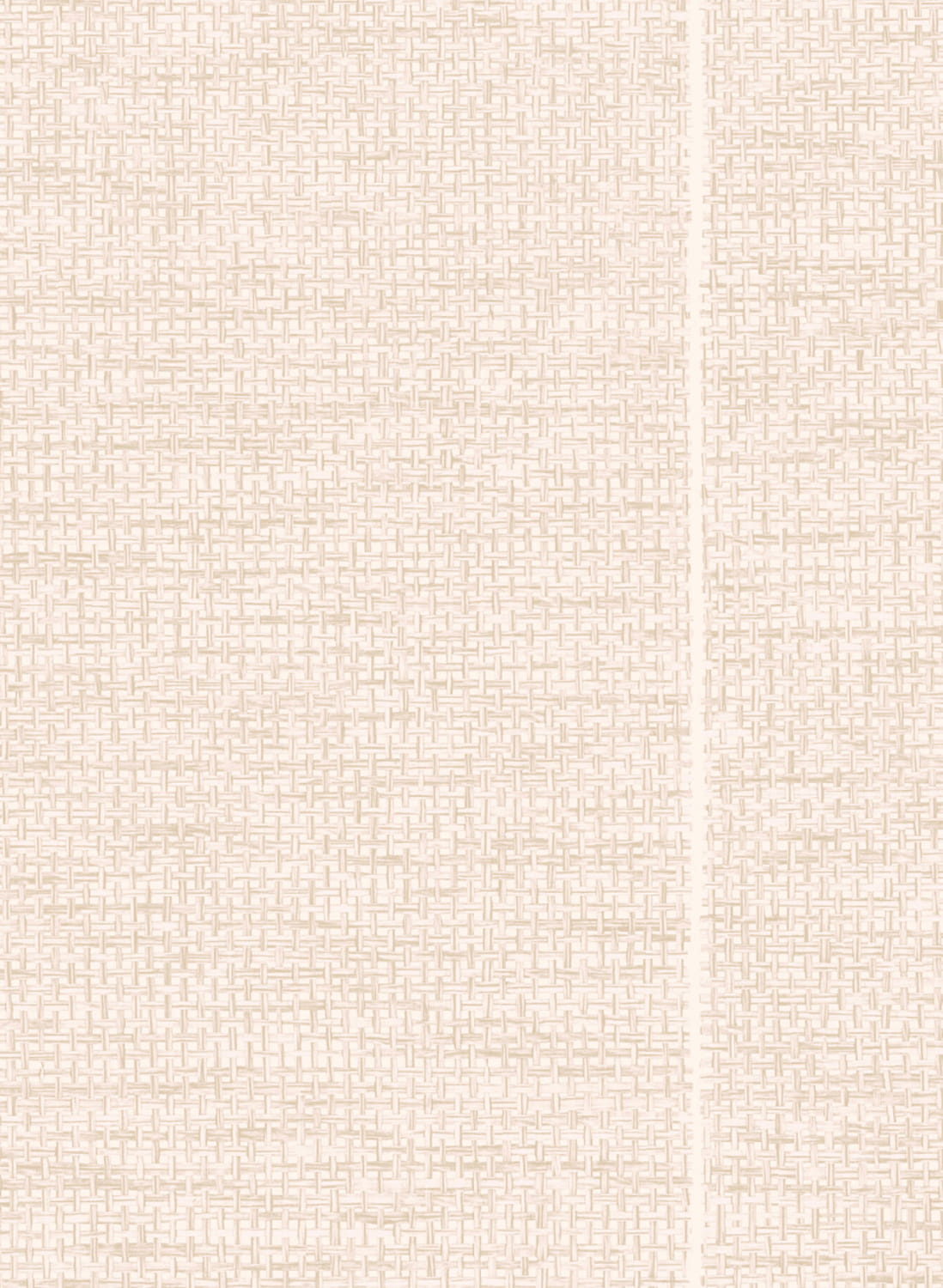Tapete Le Raphia Tisse - Ivory