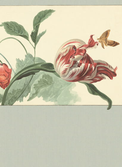 Tapete Tulip and Poppy - 358119