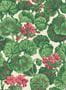 5701_3_cole-and-son_geranium_117-111034-59194