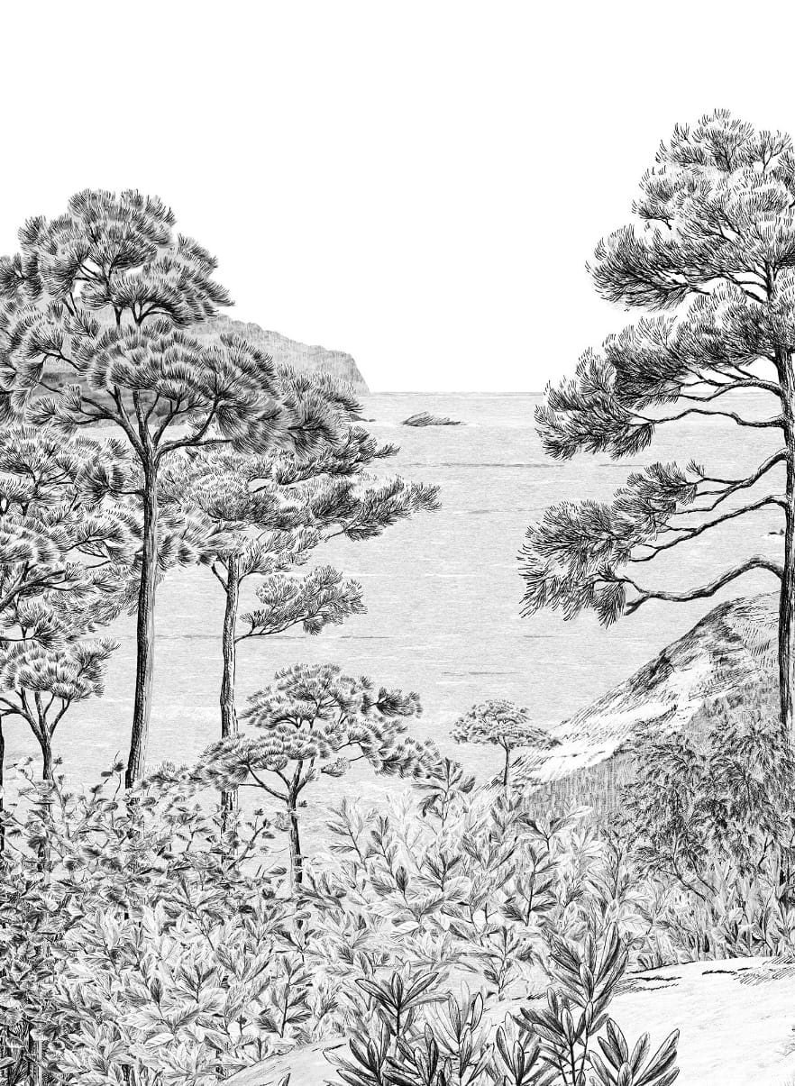 Papier peint Euskadi - Grisaille Panel D