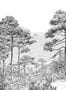 _15292_04_Isidore_Leroy_Euskadi_6264309-183426