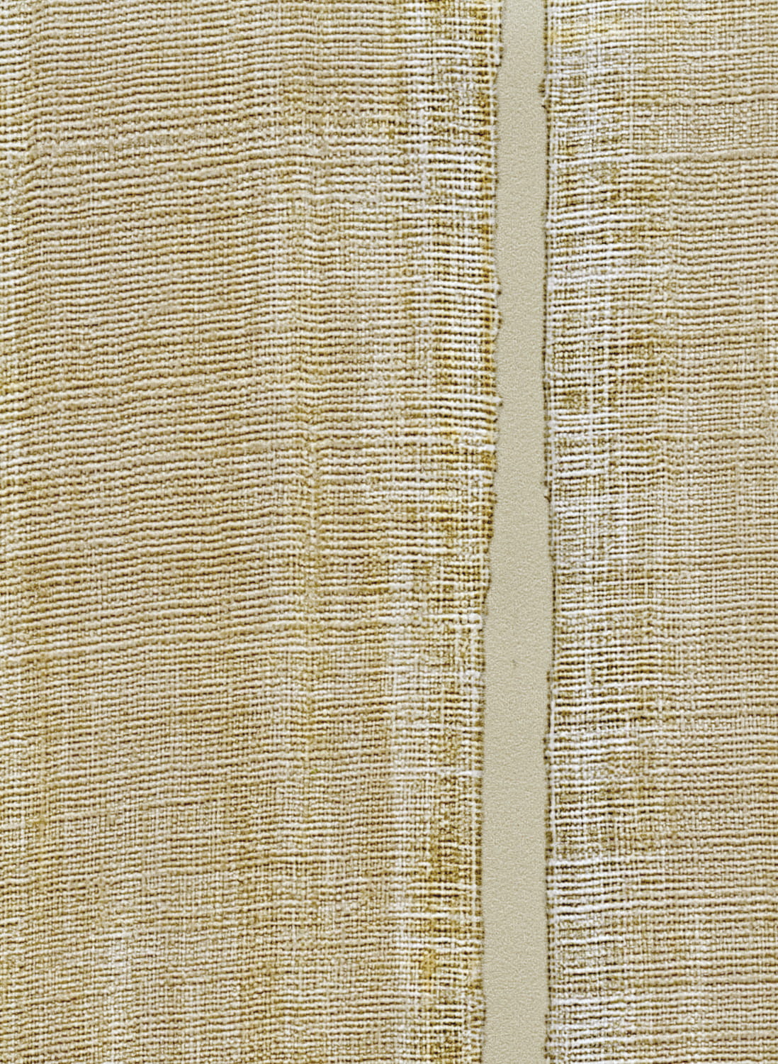 Tapete Sari - VP 895 04