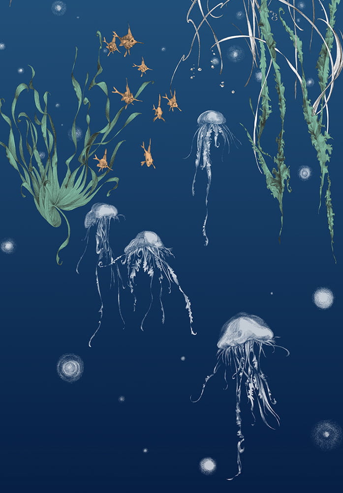 Tapete Nautilus/Méduses/Nénuphars - Marine - Méduses droit - Marine