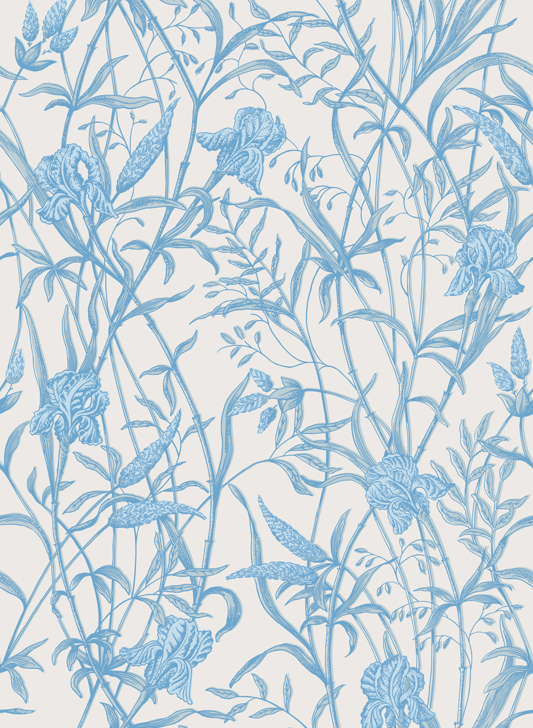 Tapete Iris - Soft Cerulean on Porcelain