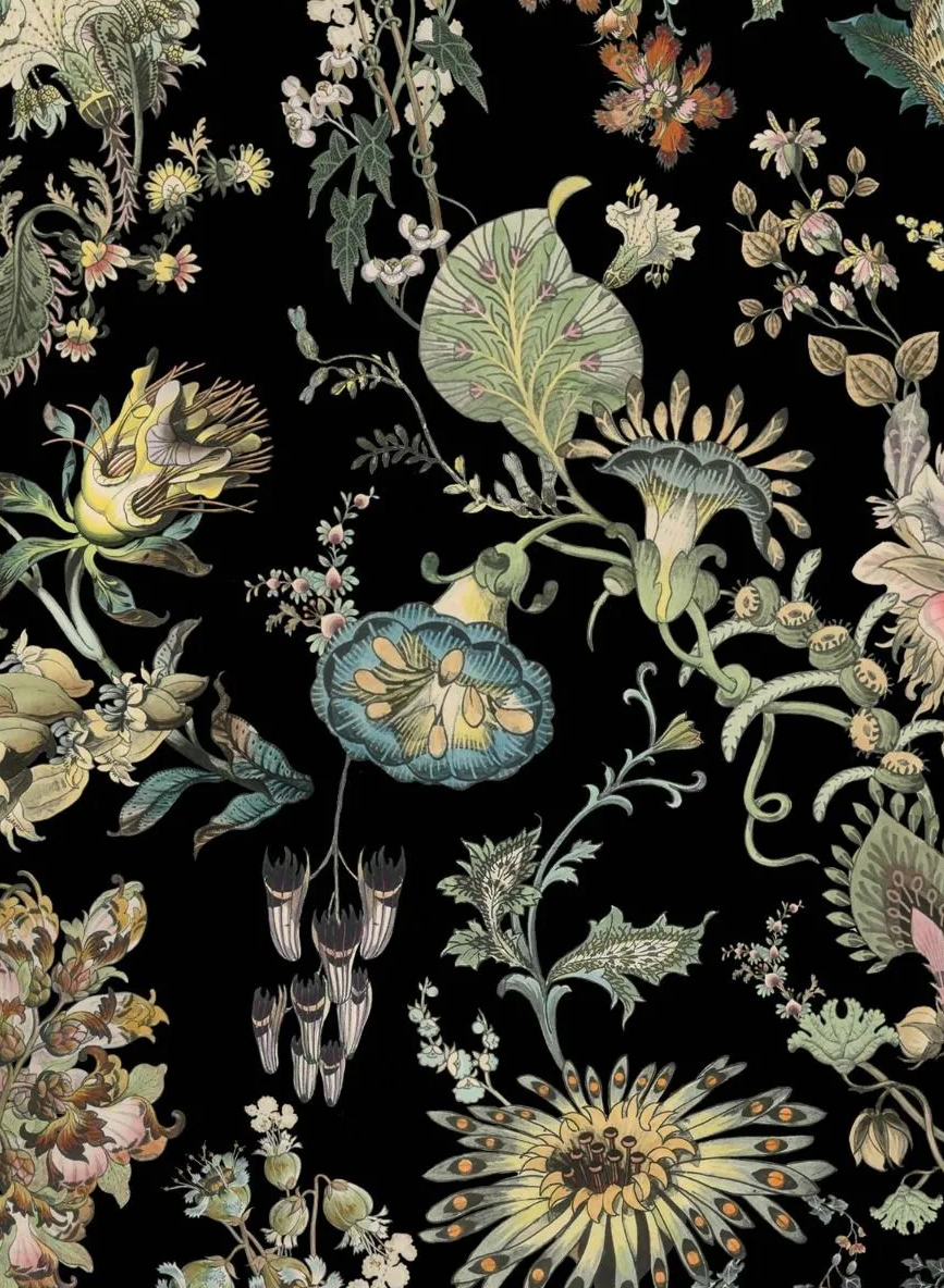 Wandbild Flora Fantasia - Noir