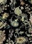 7446_3_House_of_Hackney_Wandbild_Flora_Fantasia_1-WA-FLF-DI-NOI-XXX-67979