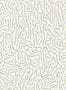 6807_3_Harlequin_Melodic_112831-87926