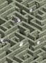 6523_1_Josephine_Munsey_Labyrinth_with_Ostrich_Eucalyptus_JMW-101001-74533