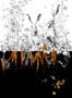 4476_1_edmont_petit_lievres_rm100-05_noir_orange_dore-53873