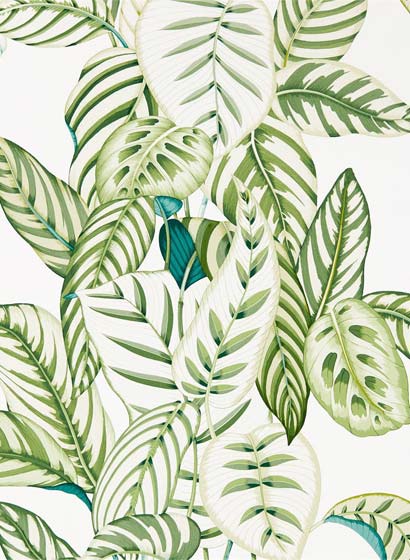 Tapete Calathea - Botanical Green