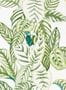 5171_2_sanderson_calathea_216630-54528
