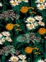 18104_06_Coordonné_Picnic_C00106-175254