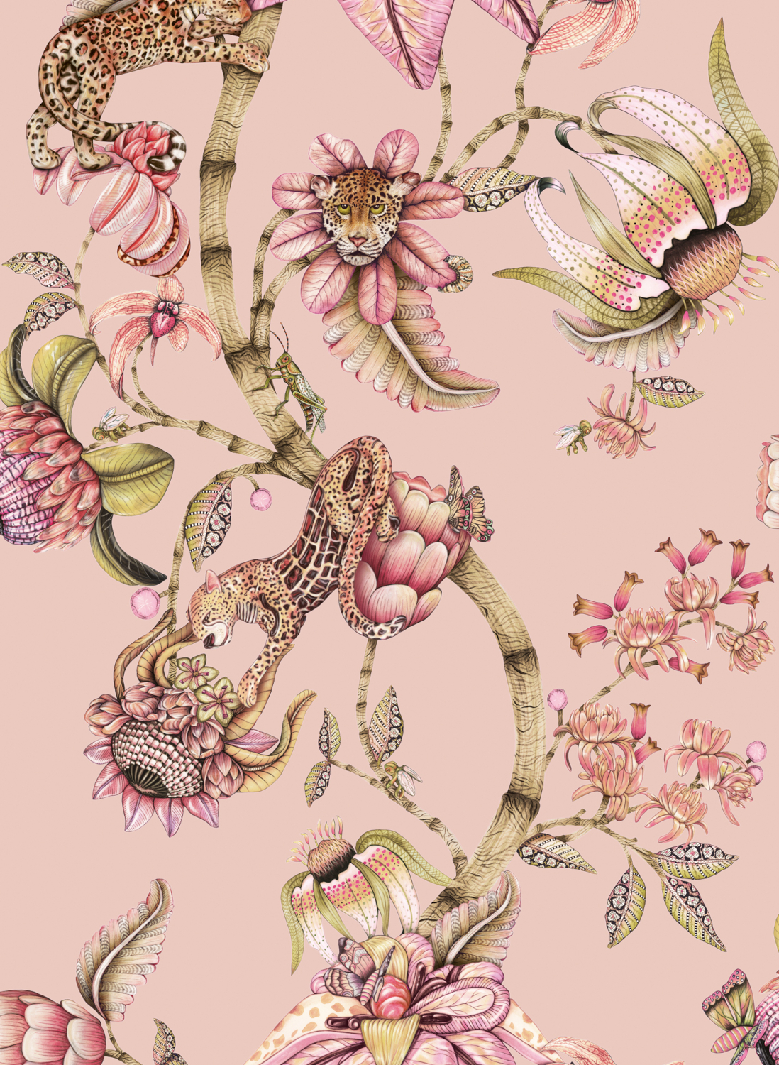 Tapete Protea Panthera - Rose Quartz