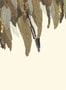 8680-1-Eijffinger-Fancy-Feather-307407-90059