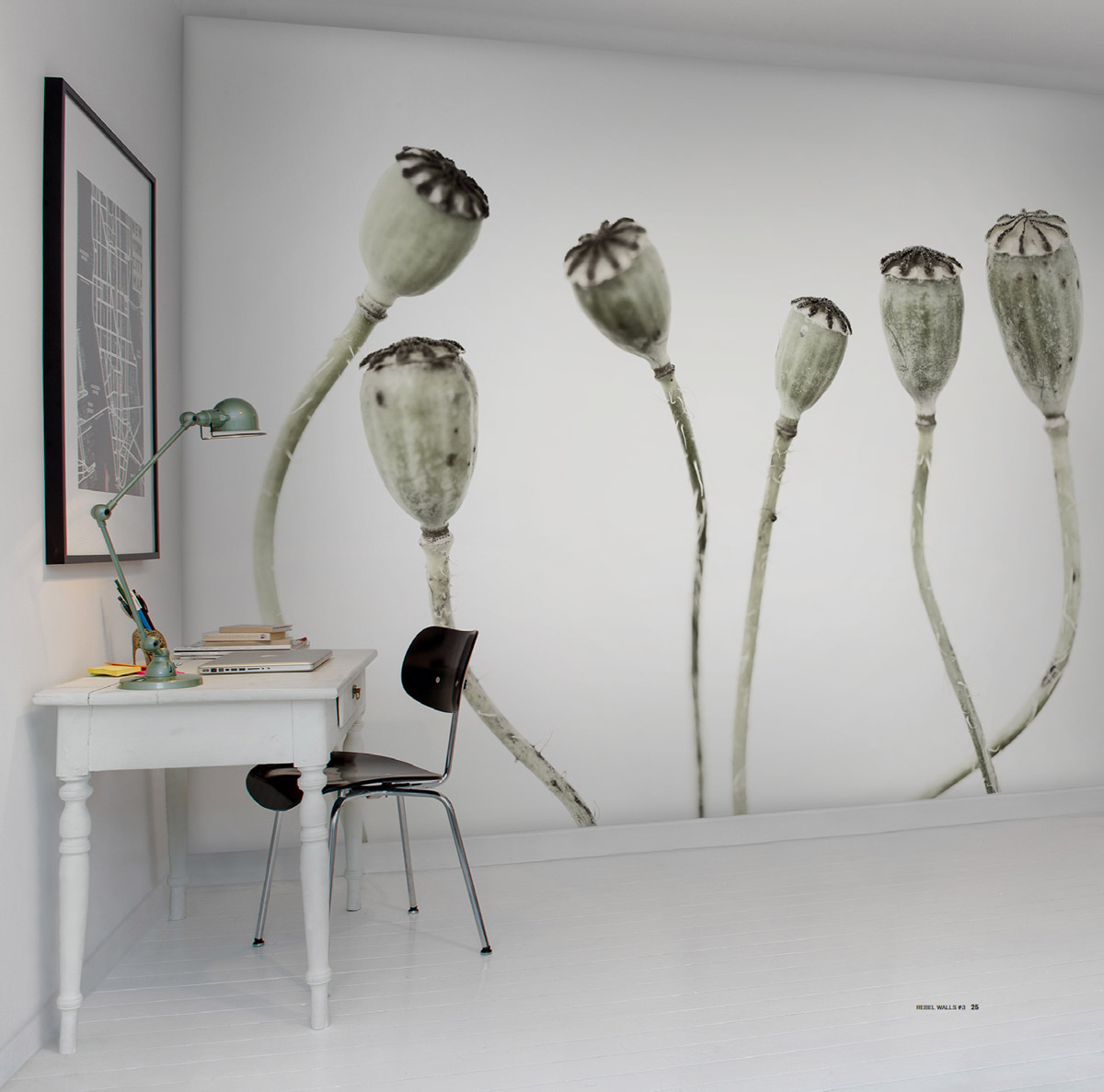Wandbild Simple Seedpod