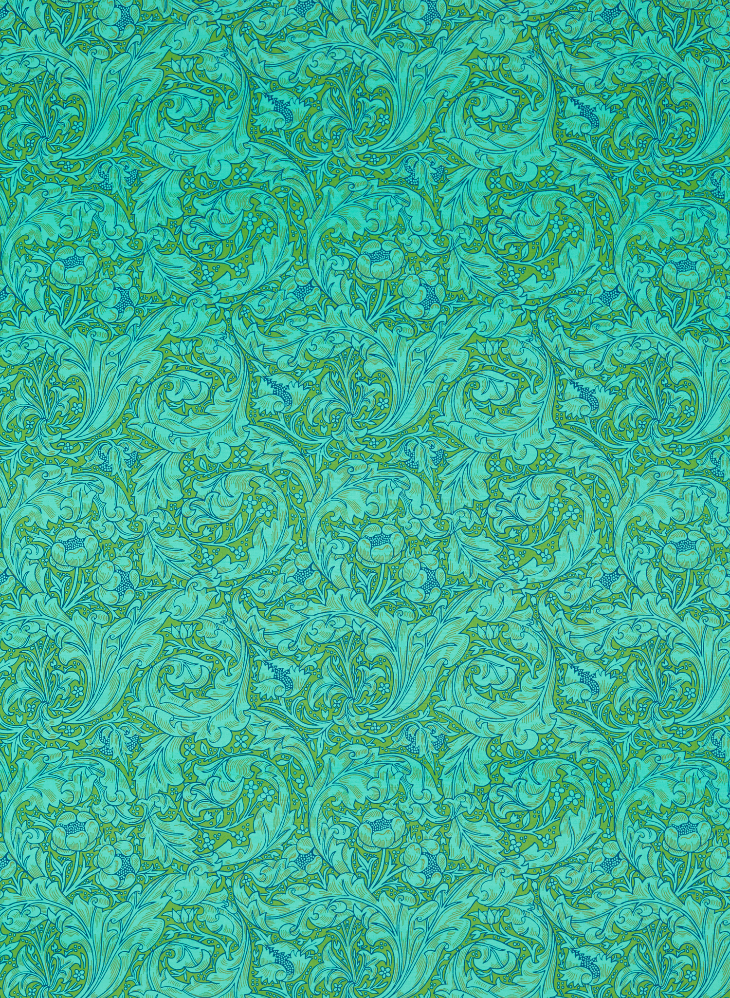 Tapete Bachelors Button - Olive/ Turquoise