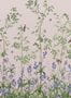 7701_2_Little-Greene_Bird-and-Bluebell_0263BICHINA-100060