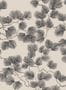 15018_4_Sandberg_Pine_S10325-114606