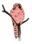 2033_2_sian_zeng_magnet_owl_pink-23914