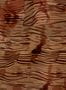 18216_04_Tres_Tintas_Reflections_M5403-4-196515
